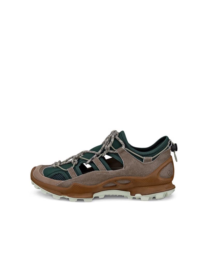 Multicolour ECCO BIOM C-TRAIL W NRL