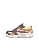 Product Color-Multicolour