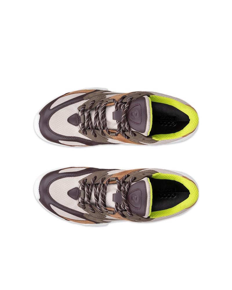 Multicolour ECCO BIOM C-TRAIL W NRL