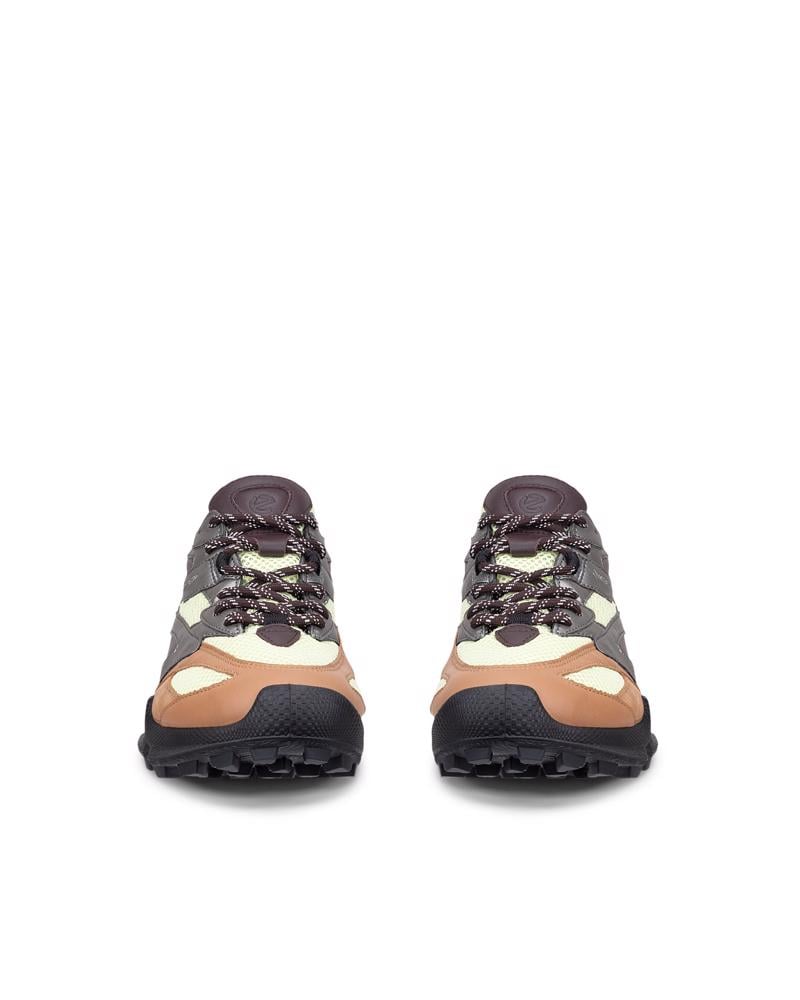 Brown ECCO BIOM C-TRAIL W NRL