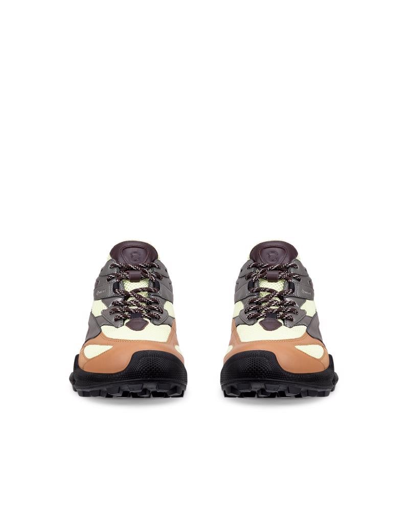Brown ECCO BIOM C-TRAIL M NRL