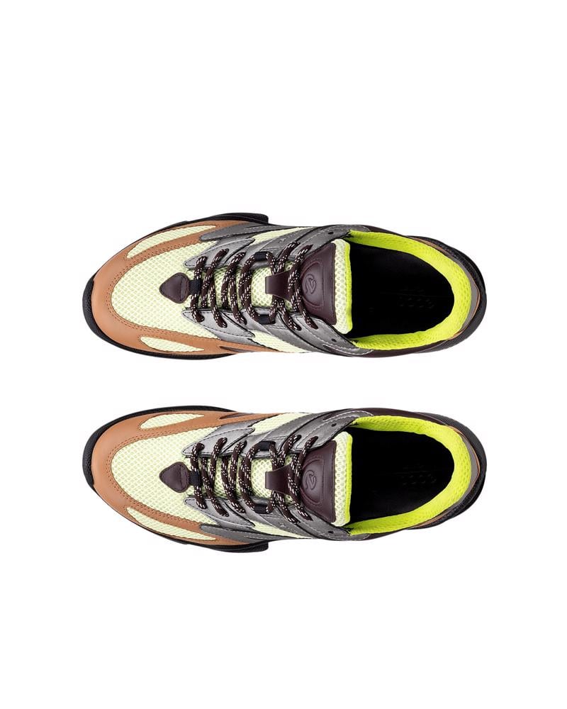Brown ECCO BIOM C-TRAIL M NRL