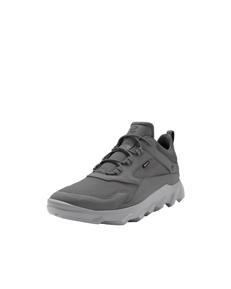 Grey ECCO MX M LOW GTX