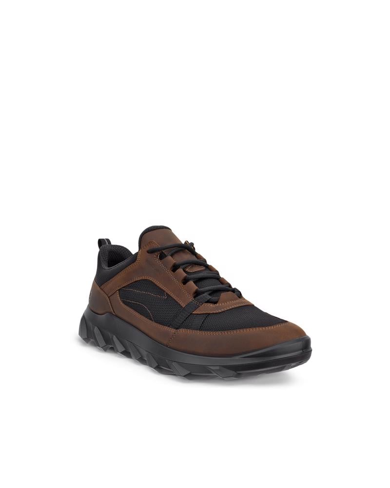 CAMEL ECCO MX M LOW WP