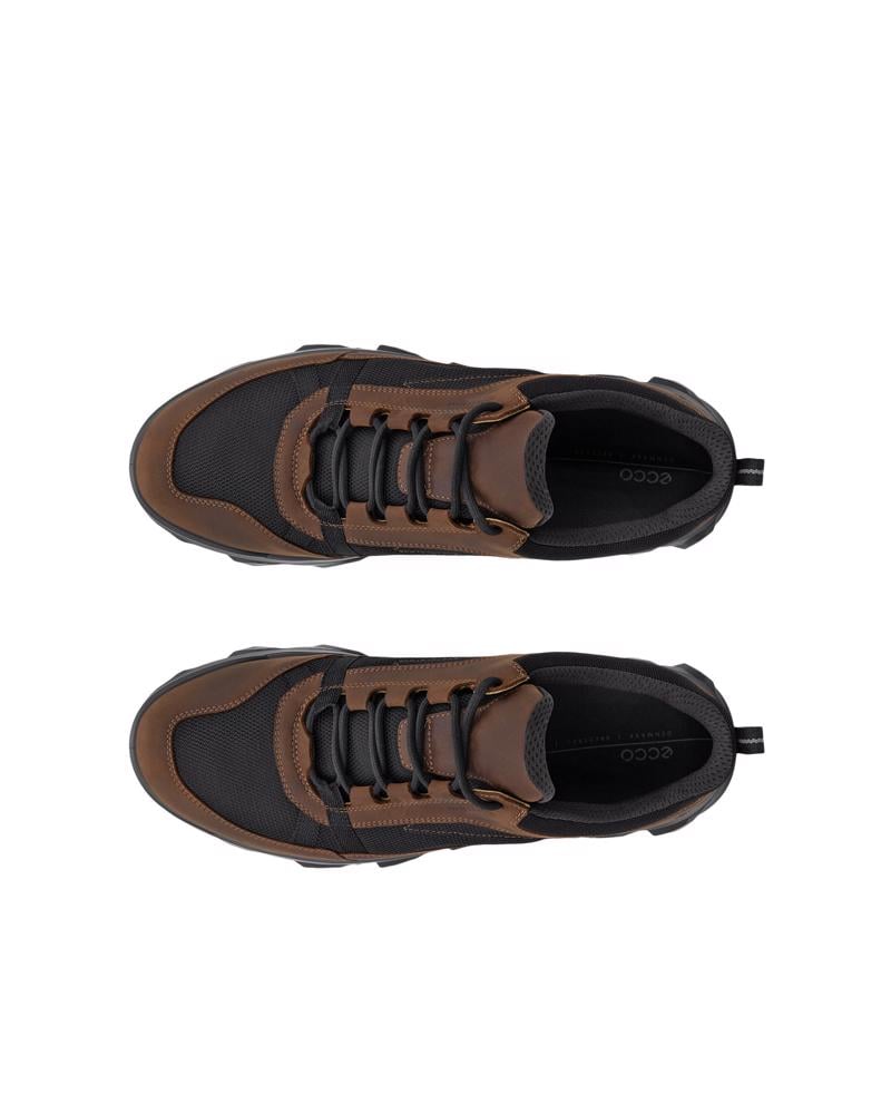 CAMEL ECCO MX M LOW WP