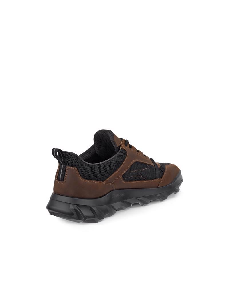 CAMEL ECCO MX M LOW WP