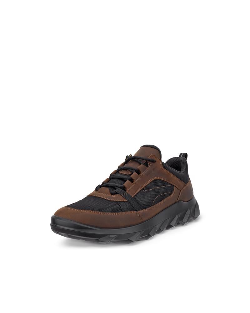 CAMEL ECCO MX M LOW WP
