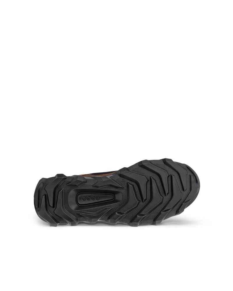 CAMEL ECCO MX M LOW WP