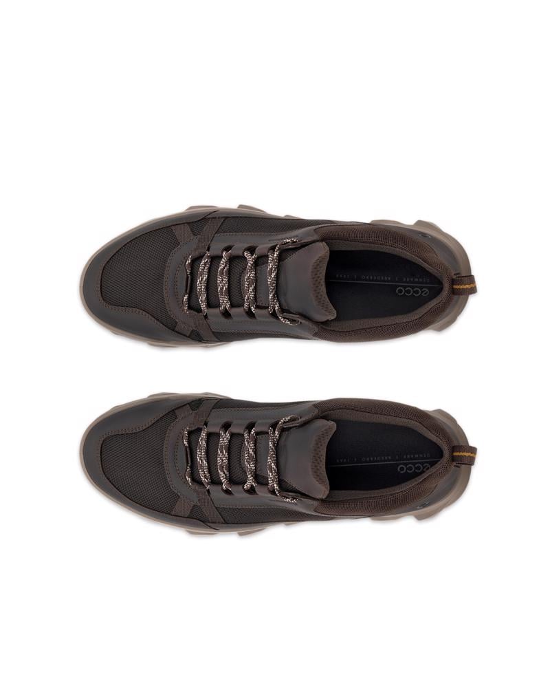 Brown ECCO MX M LOW WP
