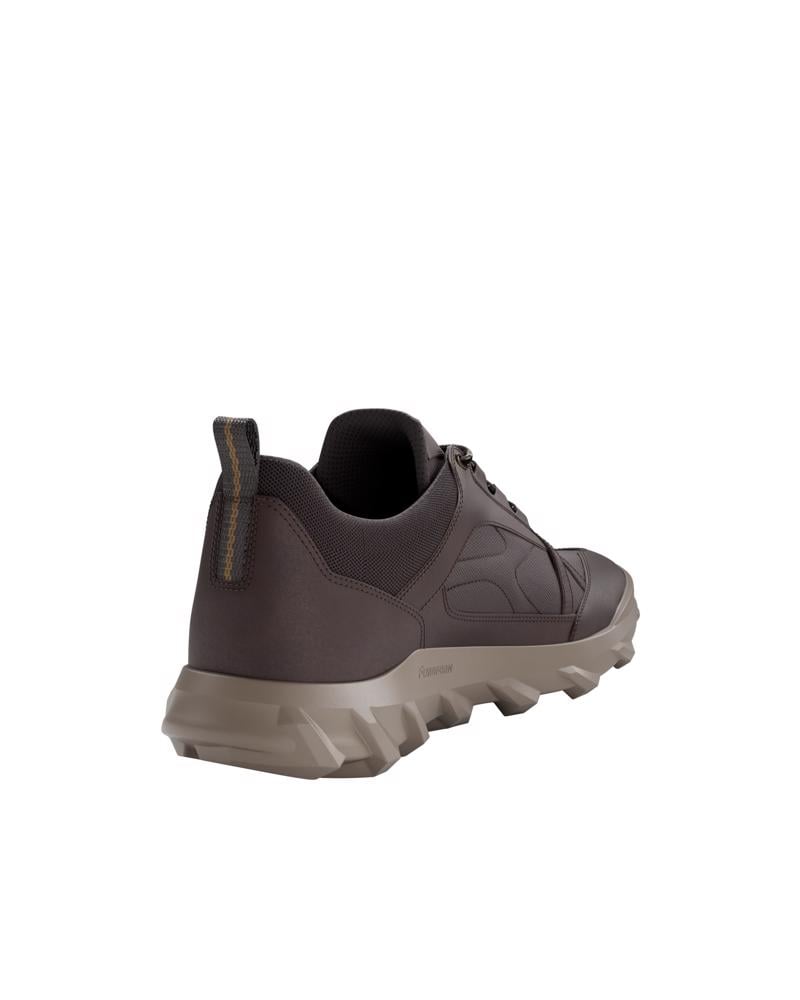 Brown ECCO MX M LOW WP
