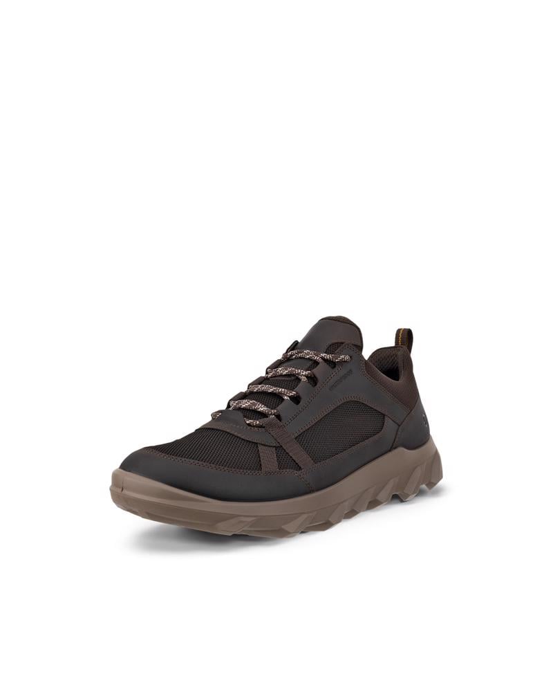 Brown ECCO MX M LOW WP