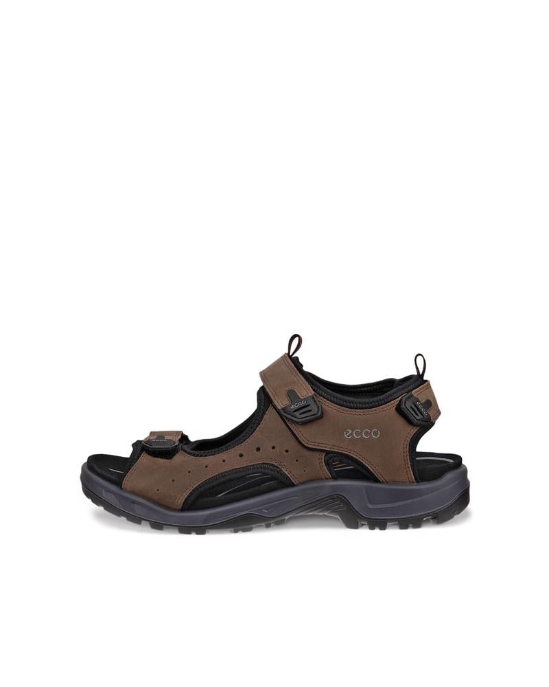Brown ECCO OFFROAD ANDES II M
