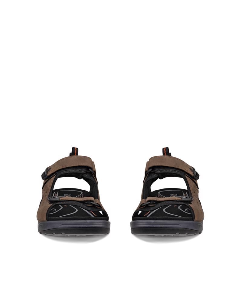 Brown ECCO OFFROAD ANDES II M