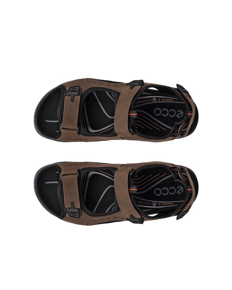 Brown ECCO OFFROAD ANDES II M