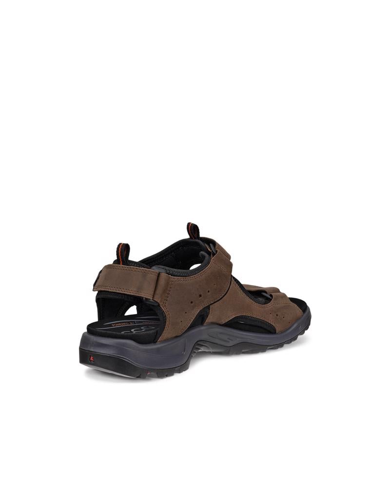 Brown ECCO OFFROAD ANDES II M