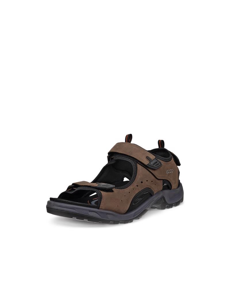Brown ECCO OFFROAD ANDES II M