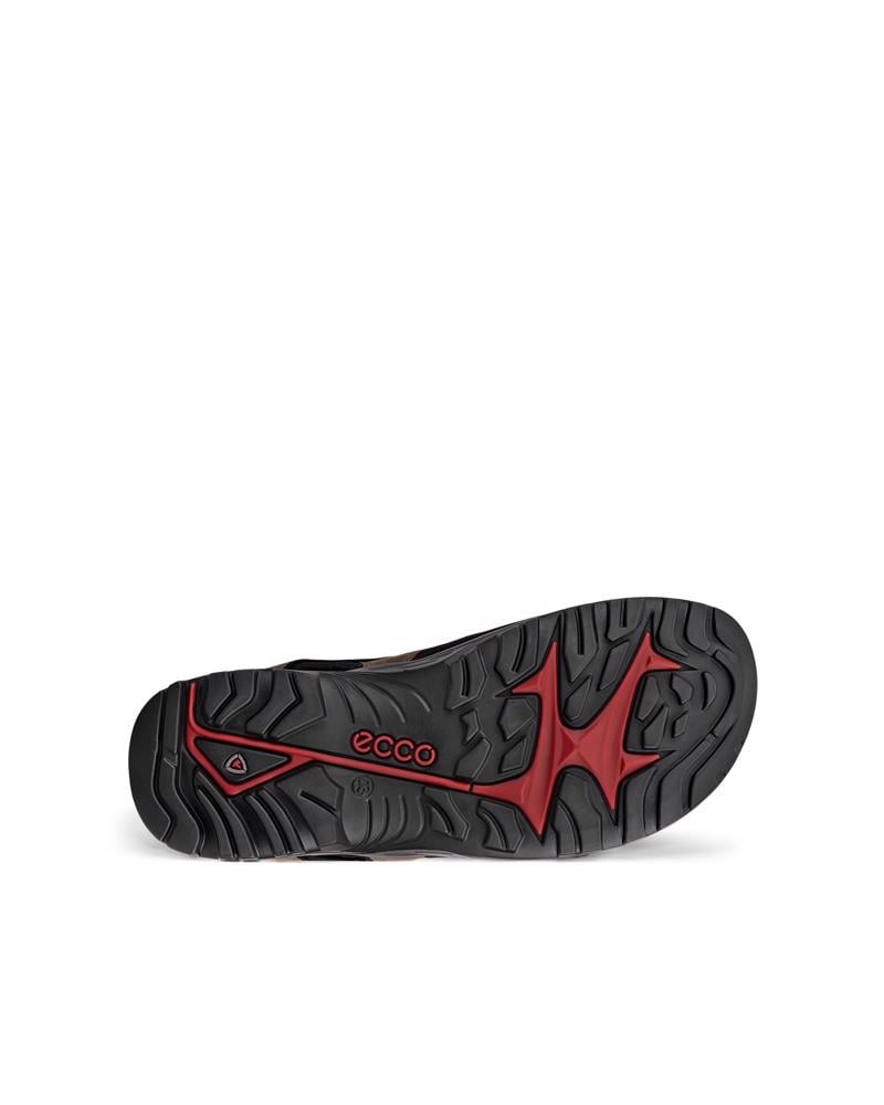 Brown ECCO OFFROAD ANDES II M