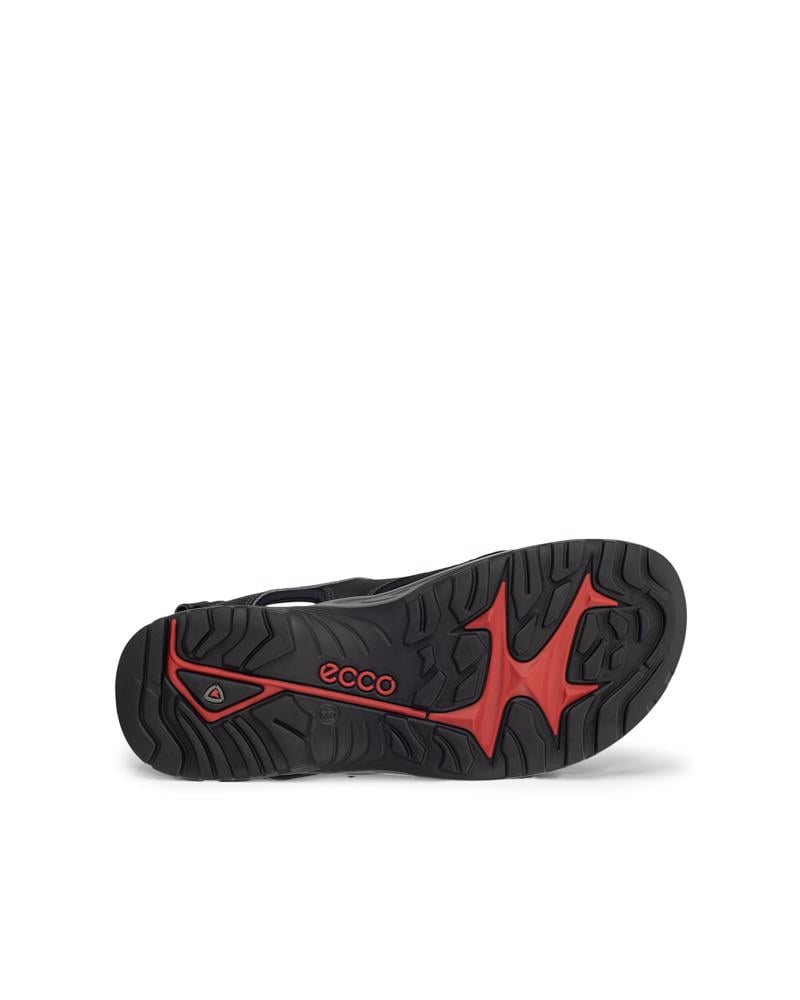BLACK ECCO OFFROAD ANDES II M