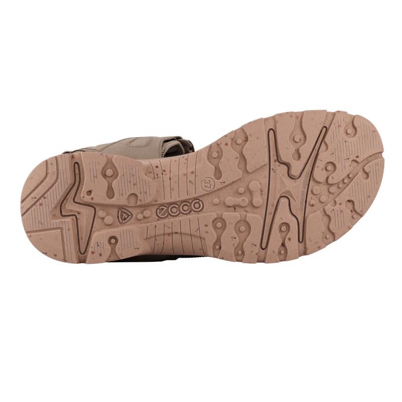 Brown ECCO OFFROAD YUCATAN PLUS W