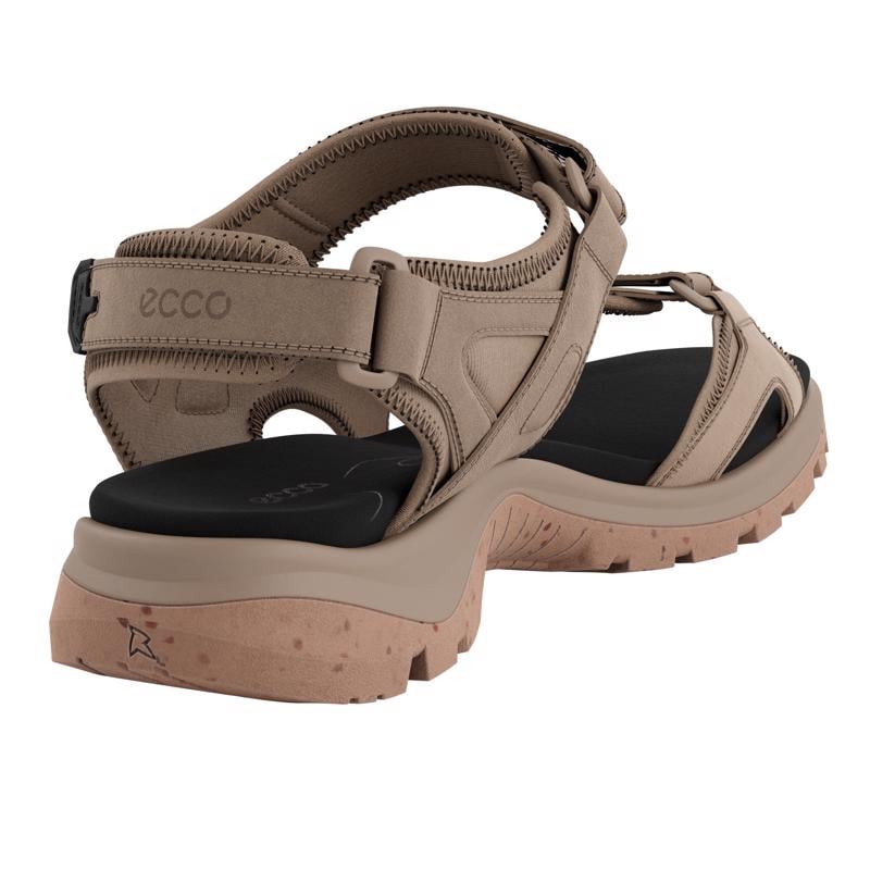 Brown ECCO OFFROAD YUCATAN PLUS W