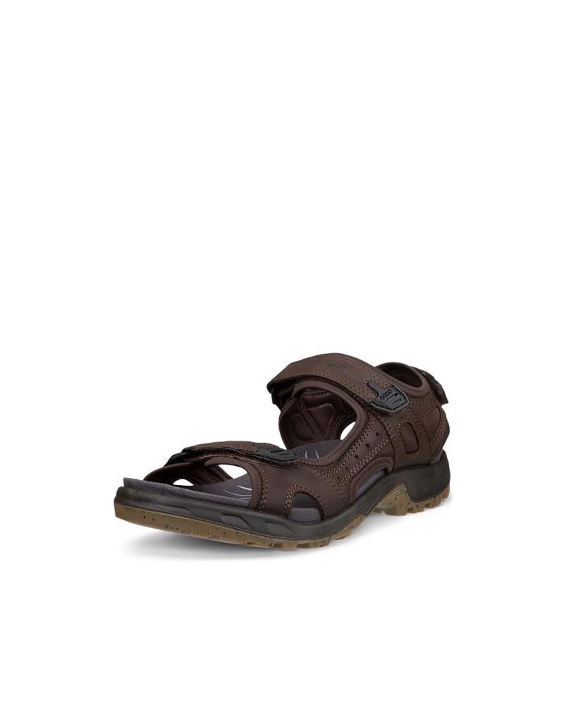 Brown ECCO OFFROAD YUCATAN PLUS M
