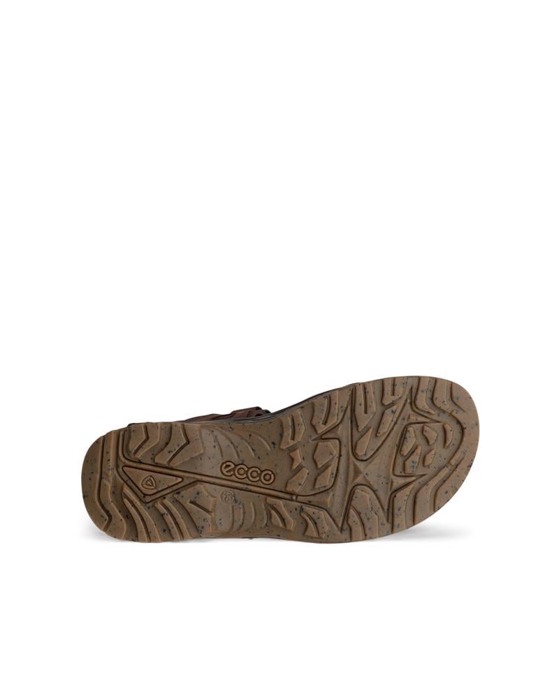 Brown ECCO OFFROAD YUCATAN PLUS M