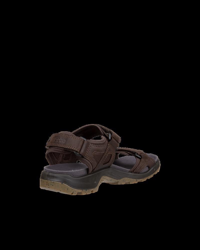 Brown ECCO OFFROAD YUCATAN PLUS M