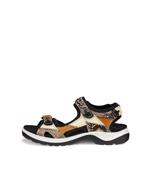 Product Color-Orange