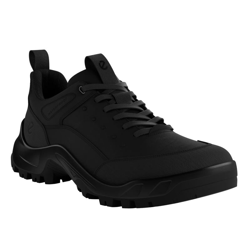 BLACK ECCO OFFROAD M SHOE WP