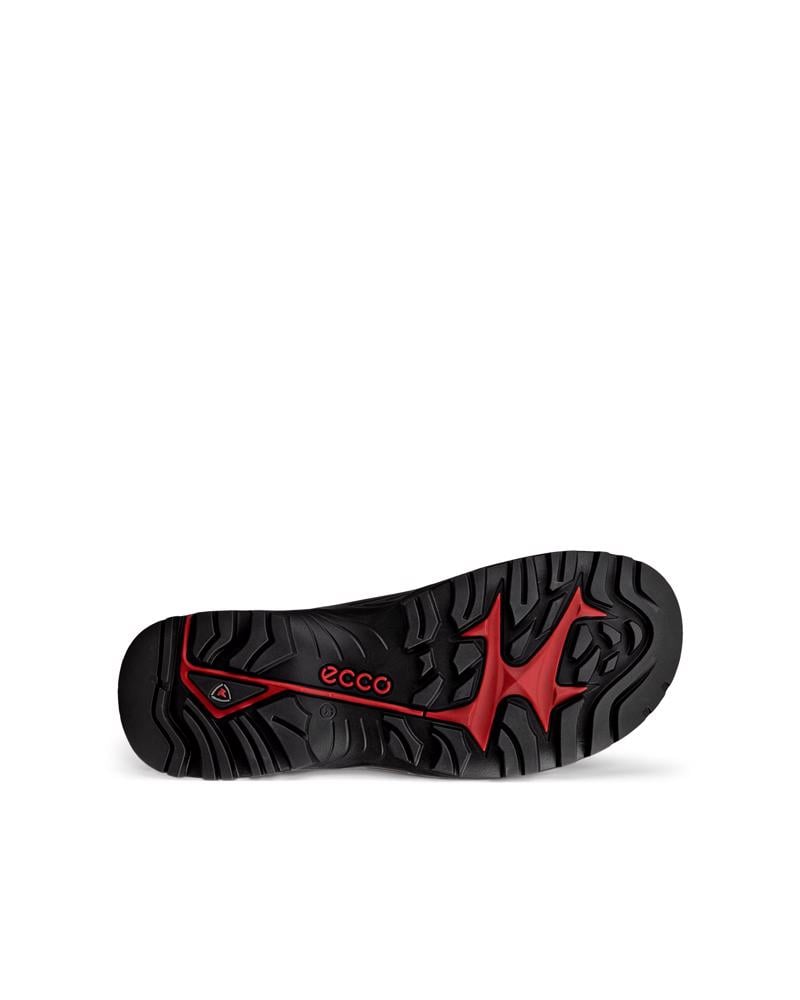 BLACK ECCO OFFROAD M SHOE WP