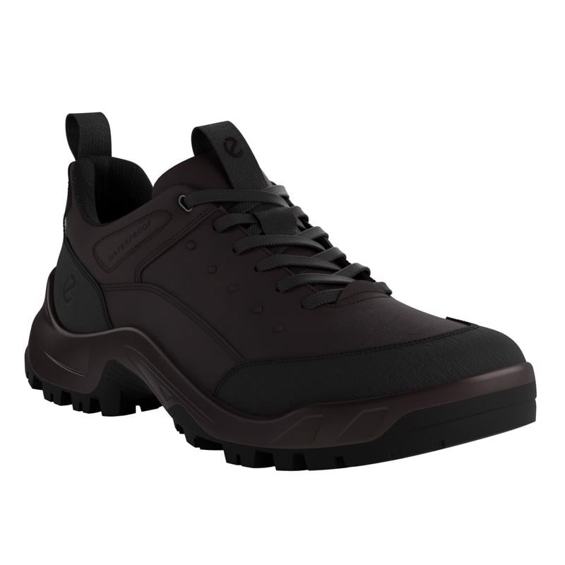 BLACK ECCO OFFROAD M SHOE WP