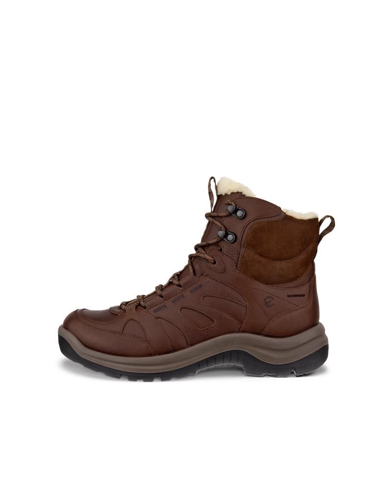 بني ECCO OFFROAD W BOOT WARM WP