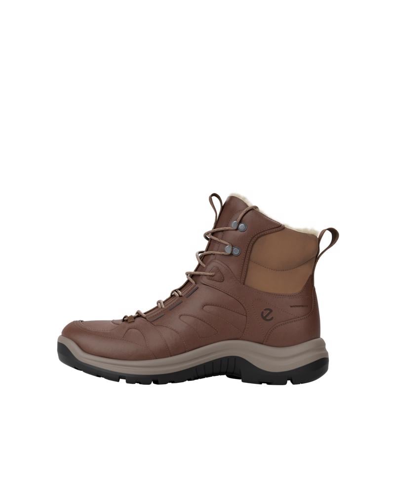 Brown ECCO OFFROAD W BOOT WARM WP