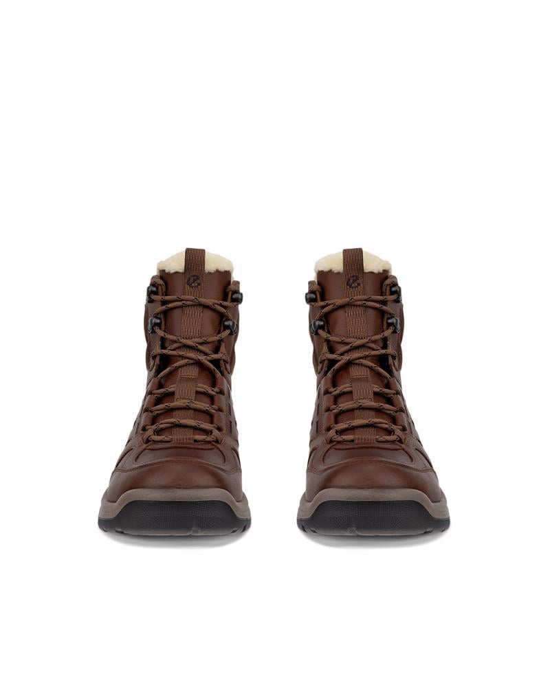 Brown ECCO OFFROAD W BOOT WARM WP