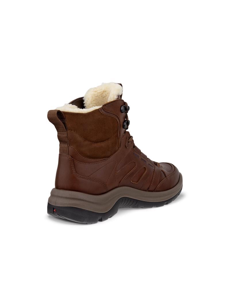 Brown ECCO OFFROAD W BOOT WARM WP