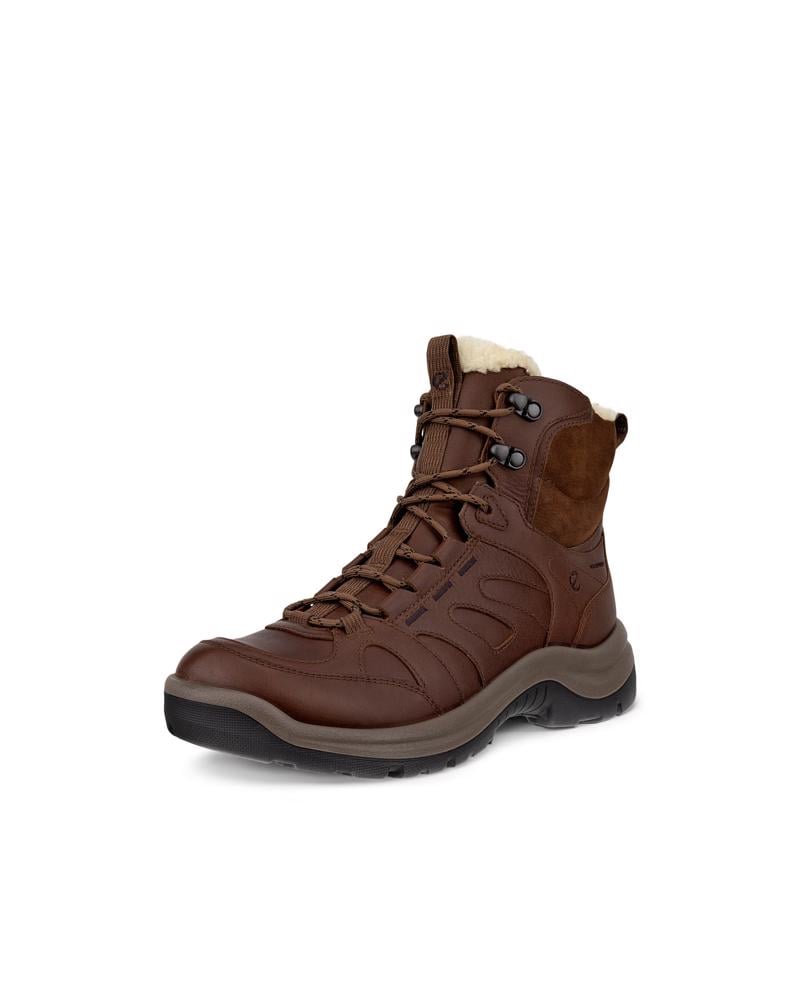 Brown ECCO OFFROAD W BOOT WARM WP