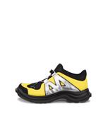 Product Color-Multicolour