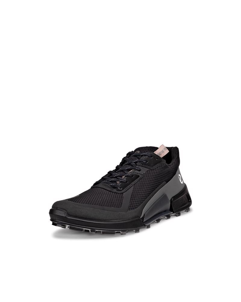 Grey ECCO BIOM 2.1 X COUNTRY W GTX
