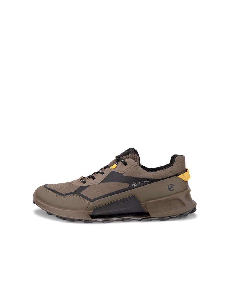 بني ECCO BIOM 2.1 X MTN M GTX