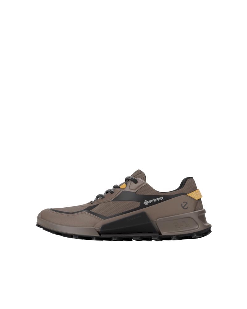 Brown ECCO BIOM 2.1 X MTN M GTX