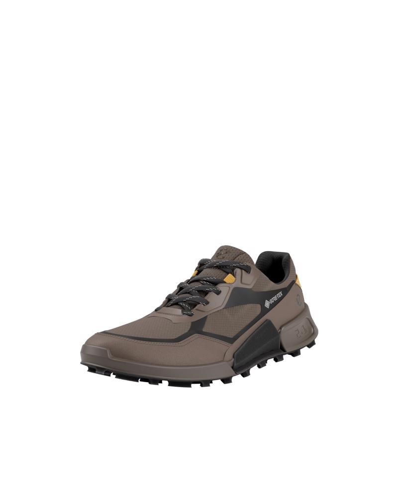 Brown ECCO BIOM 2.1 X MTN M GTX