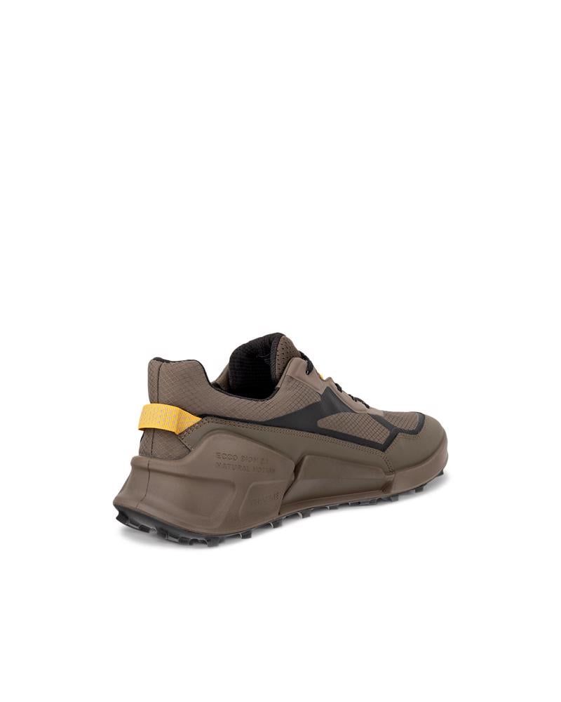 Brown ECCO BIOM 2.1 X MTN M GTX