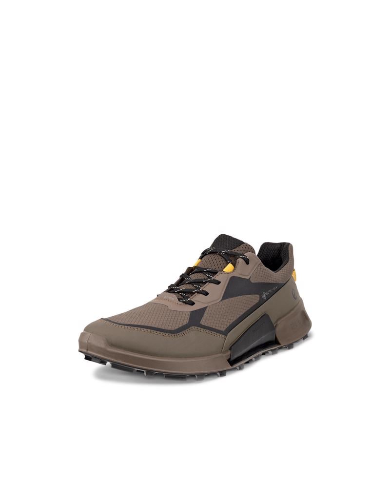 Brown ECCO BIOM 2.1 X MTN M GTX