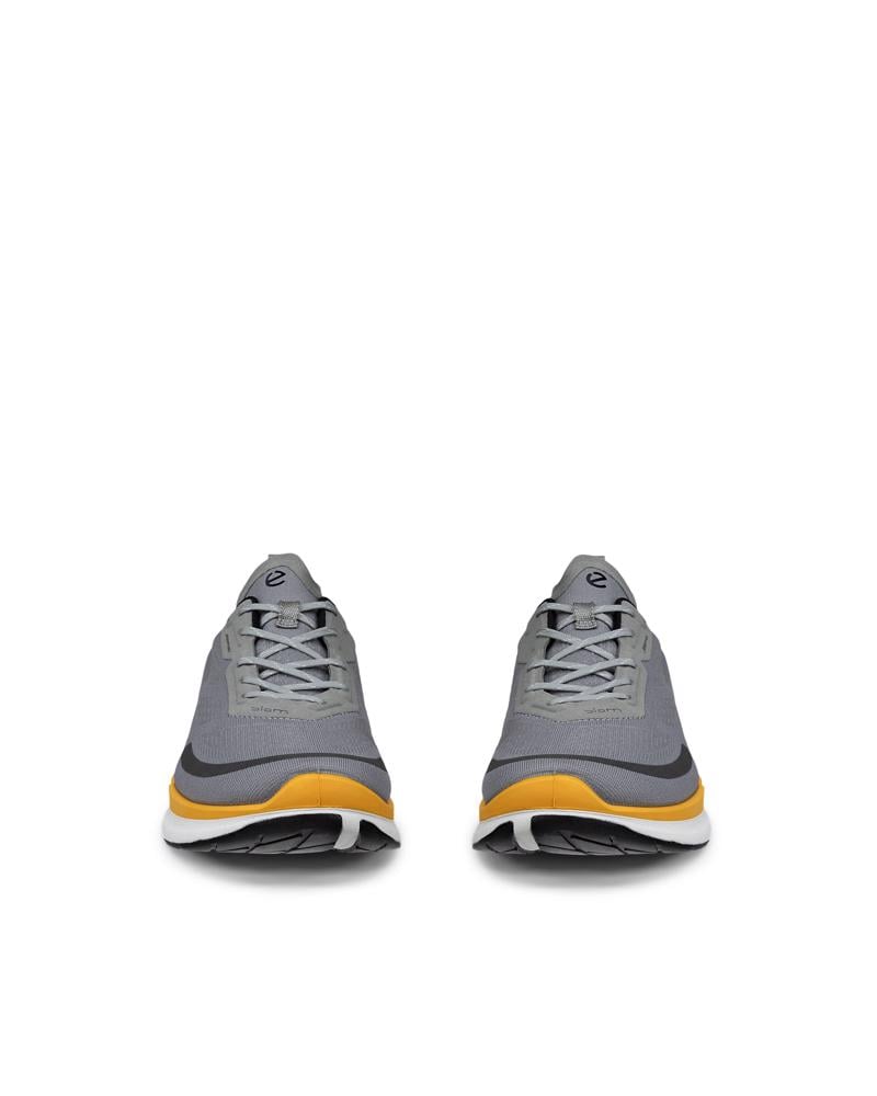 Grey ECCO BIOM 2.2 M BREATHRU