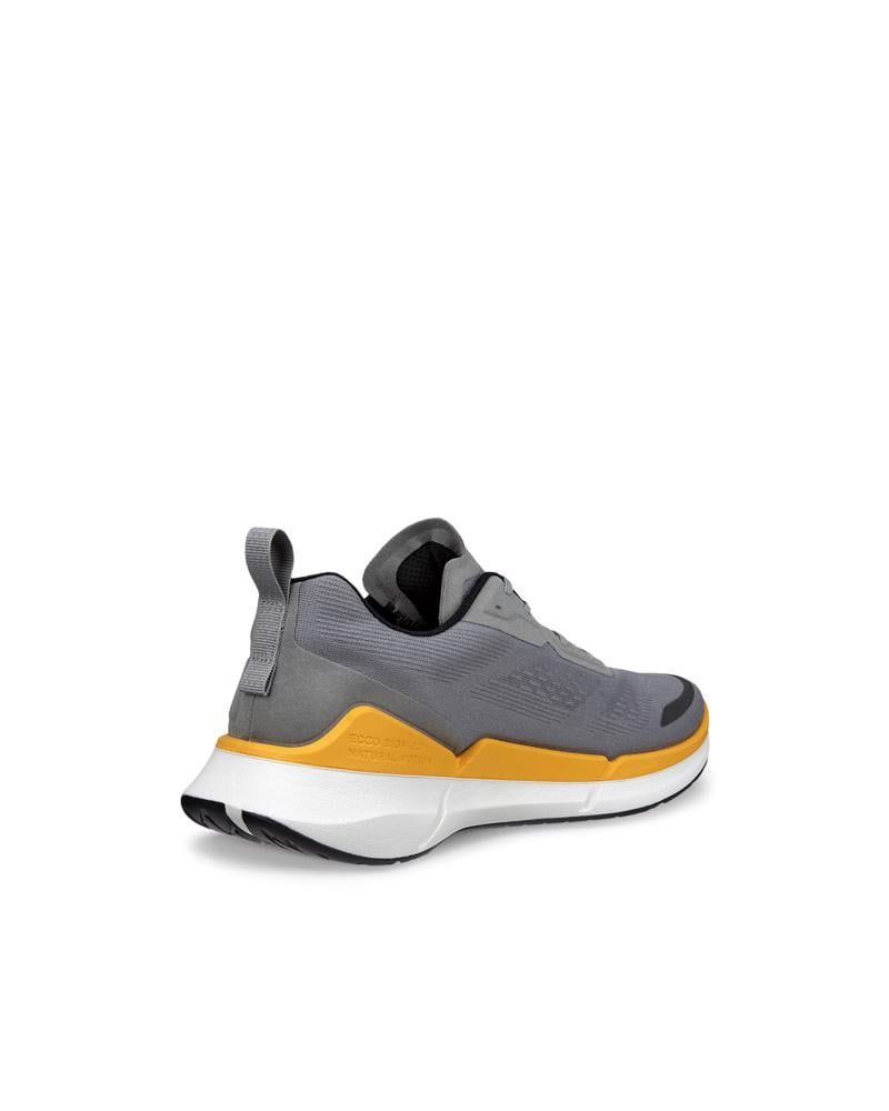Grey ECCO BIOM 2.2 M BREATHRU