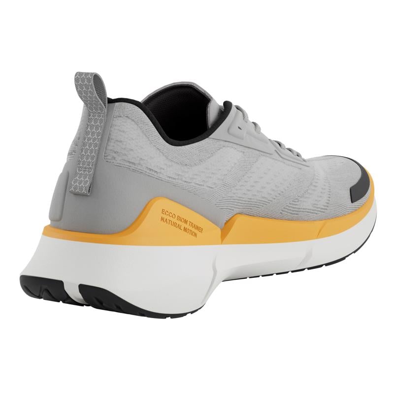 Grey ECCO BIOM 2.2 M BREATHRU