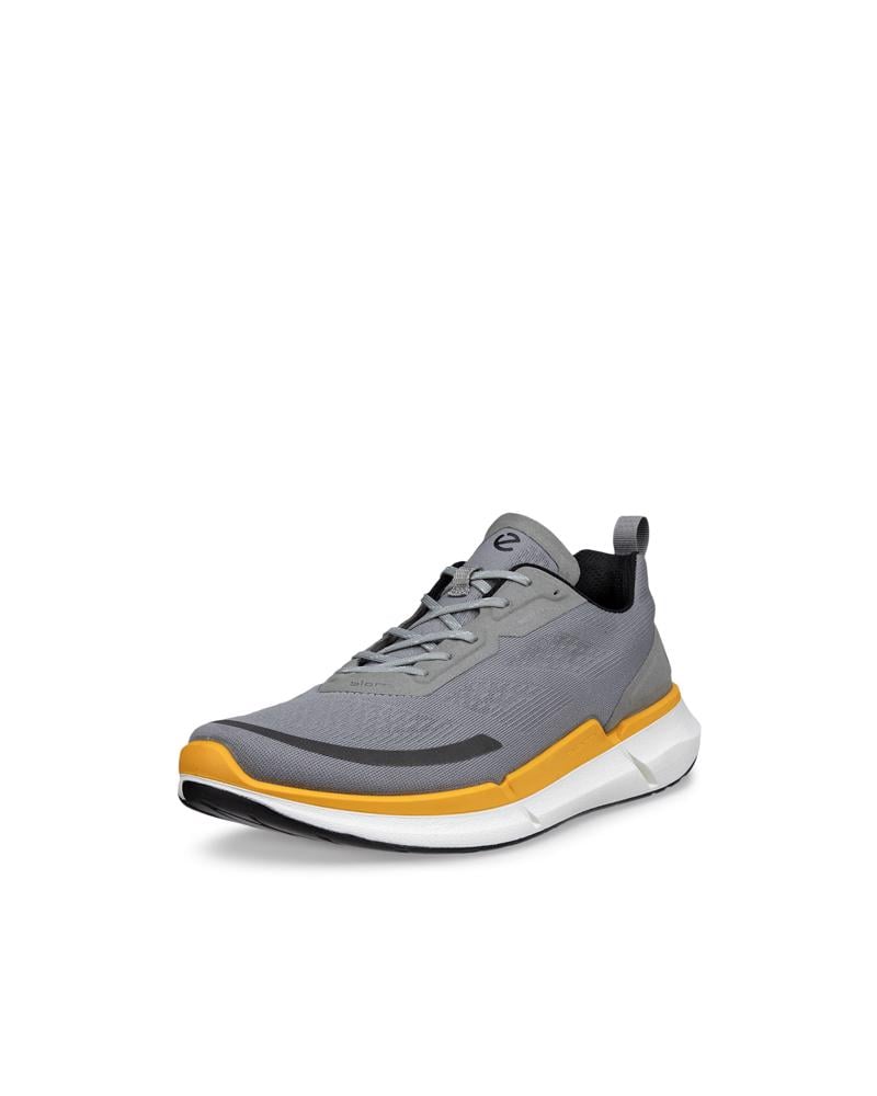 Grey ECCO BIOM 2.2 M BREATHRU
