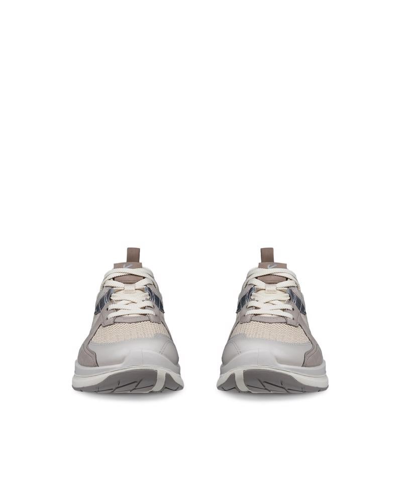 WARM GREY ECCO BIOM 2.2 TEX LEA