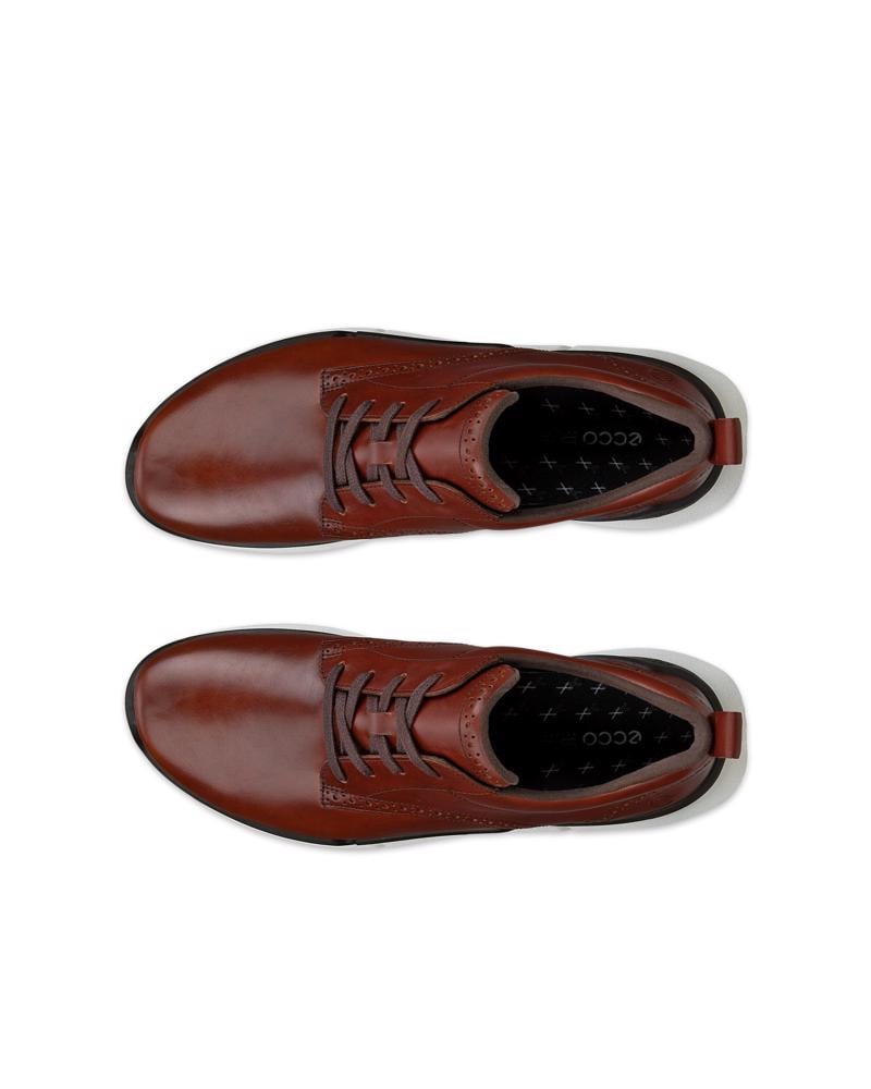 Brown ECCO BIOM 2.2 M HYBRID