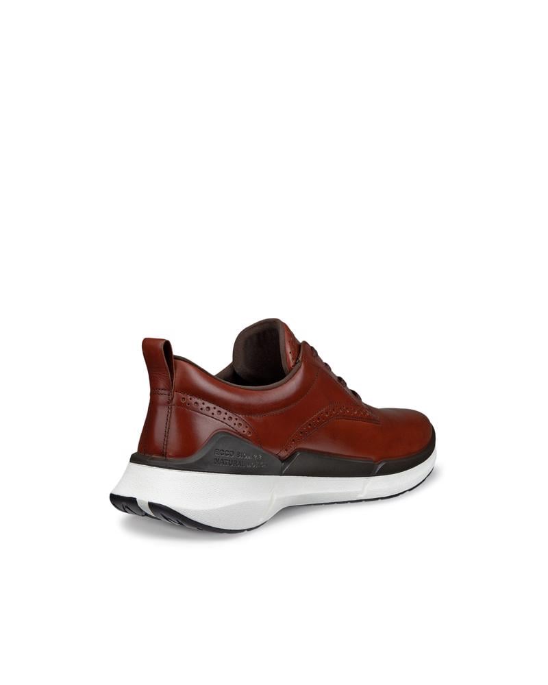 Brown ECCO BIOM 2.2 M HYBRID